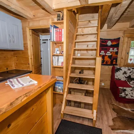 Mazot Avec Jardin, Animaux Admis, Parking, Wifi - Fr-1-343-215 Chalé Chamonix